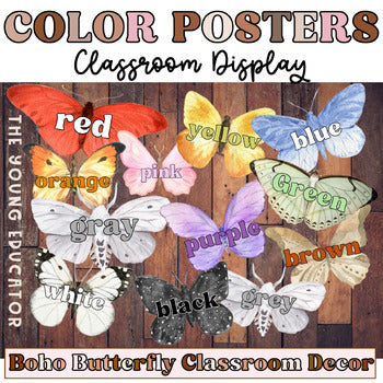 Color posters for classroom featuring a Boho Butterfly theme for early learners.