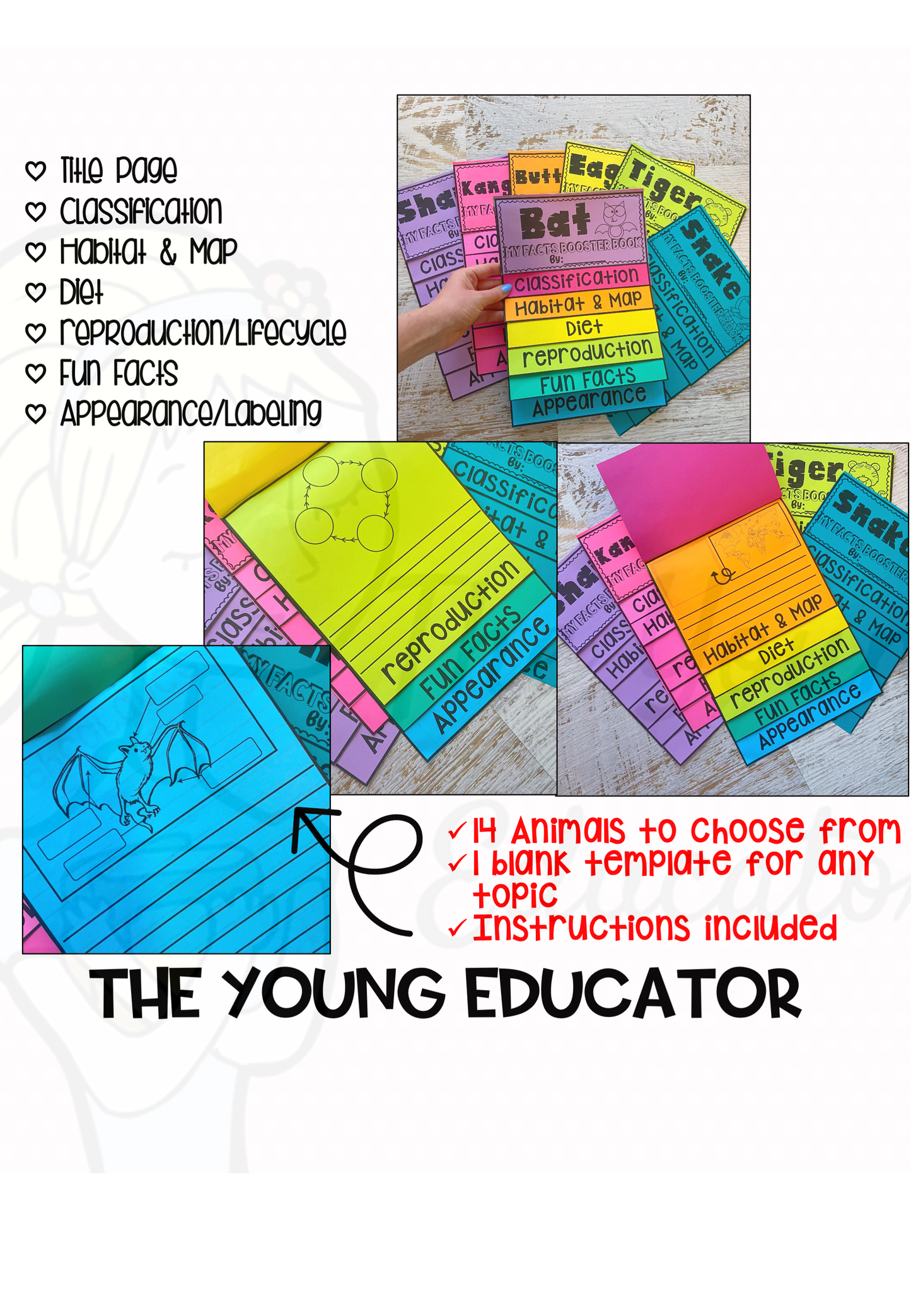 ANIMAL REPORT BOOSTER FLIP BOOKS PACK