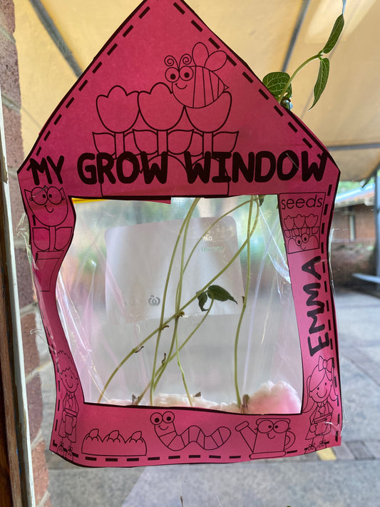MY GROW WINDOW | Plant Window Display | Life Cycles | Grow a Plant | Jack and the Bean Stalk | Experiment | Grow a Seed