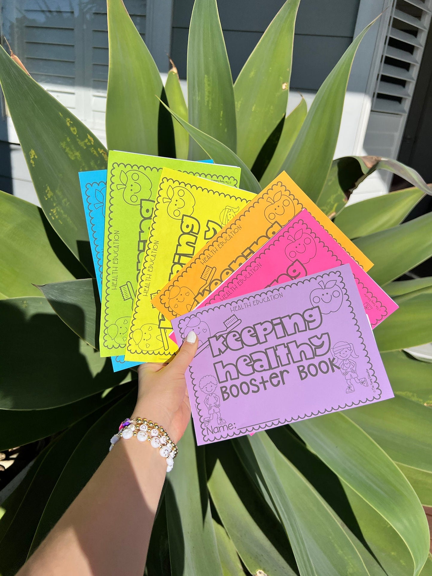 KEEPING HEALTHY - Health Education Booster Book (Fire, water, lockdown, road Safety)