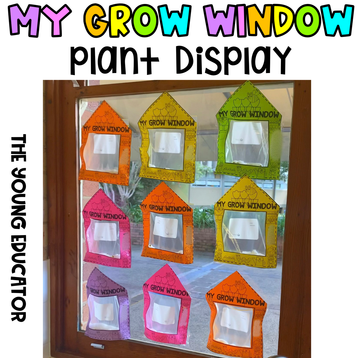MY GROW WINDOW | Plant Window Display | Life Cycles | Grow a Plant | Jack and the Bean Stalk | Experiment | Grow a Seed