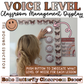 Voice level poster with classroom voice level chart in a Boho Butterfly theme.