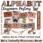 Alphabet Posters with a boho butterfly theme for early literacy learning in the classroom.