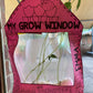 MY GROW WINDOW | Plant Window Display | Life Cycles | Grow a Plant | Jack and the Bean Stalk | Experiment | Grow a Seed