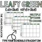 Editable 'LEAFY GREEN' Teacher Timetable Template