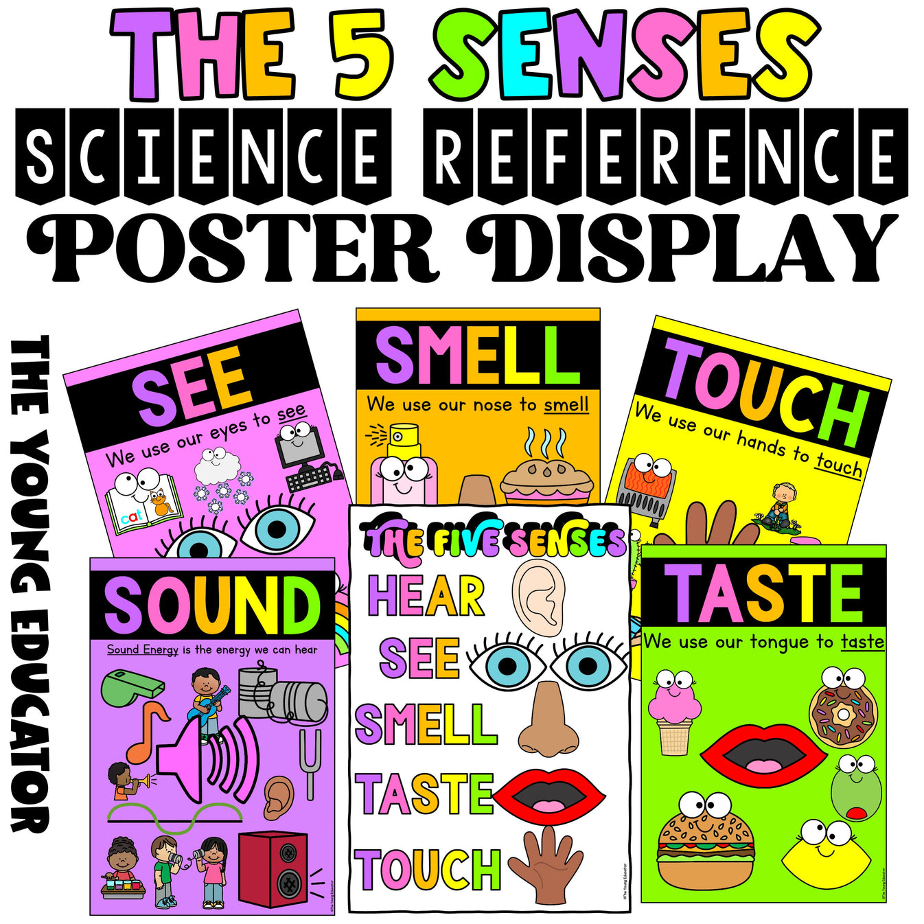 Five Senses Classroom Poster 5 Senses Science Display for Kids The